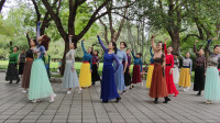 广场舞视频大全mp4下载《别知己》团队版是