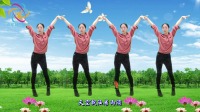 广场舞16步教程初学《缘份让我们在一起》简