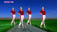 广场舞视频免费下载网站《我曾爱过一个人》