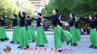 玲珑广场舞《又见北风吹》抒情优美附正背面