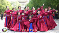 玲珑广场舞《鸿雁》动作简单好学视频mp4免