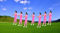 广场舞视频大全《为什么你要走》32步初级入