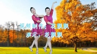 广场舞视频大全新舞下载《往事只能回味》恰