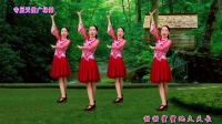 广场舞视频大全新舞下载《仙缘尘梦》正背面