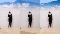 广场舞视频大全简单版《别问我过得好不好》