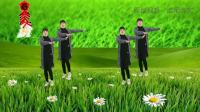DJ广场舞《过河》动感时尚酷极了附教学视频
