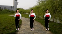 金社晓晓广场舞《那个爱情小偷》舞姿简单动