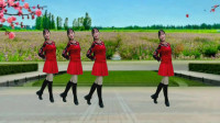 广场舞视频大全免费下载mp4《想你就能梦见
