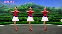 DJ广场舞《有你的季节花最美》特别简单好看