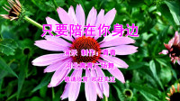 DJ广场舞《只要陪在你身边》动感32步舞步简