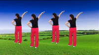 玫香广场舞《DJ草原舞曲》背面演示视频mp4