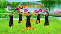 广场舞视频大全新舞《跟我一起飞》送给有梦