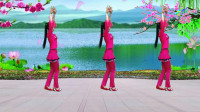 广场舞视频大全新舞《花开的时候你就来看我