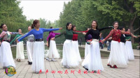 玲珑广场舞《凉山的月亮》欢快32步 太好看