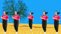 广场舞教学视频基础步《伤过的心还能交给谁