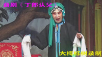 曲剧下载免费mp4下载《丁郎认父》全场(上集