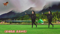 dj广场舞视频大全2020《酒醉的蝴蝶》64步大