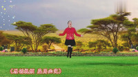 dj广场舞视频大全2020《跟着感觉走》动感个