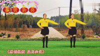dj广场舞视频大全2020《唐古拉》节奏欢快动