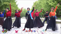 玲珑广场舞《山水情歌》14步一步一步分解动