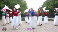 玲珑广场舞《太湖美》广场舞16步教学视频分