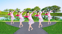 广场舞16步教学视频分解慢动作《九九艳阳天