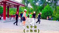 广场舞入门教学视频《小野猫》歌好听舞好看