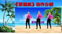 广场舞入门教学视频《耍酒疯》动听旋律欢快