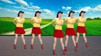 最新广场舞视频大全《为何抛弃我》正反面附