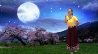 广场舞入门教学视频《月光下的梦恋》藏舞简