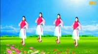 广场舞入门教学视频《云在飞》旋律优美动听