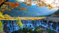 李正秀广场舞《沉睡的泪》初级入门从基础步