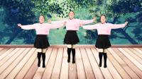 dj广场舞教学视频《美美哒》特别简单好看好