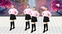 dj广场舞教学视频《酒醉的蝴蝶》动感32步好
