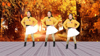 dj广场舞视频大全2020《野花香》舞步动感欢