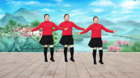 dj广场舞视频大全《辣妈》简单易学又好看动