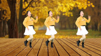 广场舞视频大全2020年最火广场舞《渡红尘》