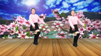 dj广场舞教学视频《老妹你真美》特别简单好
