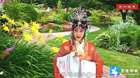 曲剧下载免费mp4下载《御河桥》选段 只身拜寿互华堂 冯宝娥老师演唱下载