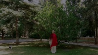 八段锦（12分钟带口令词）视频mp4免费下载