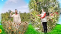 最新广场舞减肥健身操《肩上的蝴蝶》32步跳
