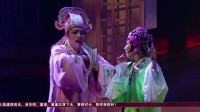 《今夜无人入睡》向延红喜剧小品搞笑大全下