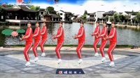 广场舞免费下载大全mp4《相遇那么美》简单