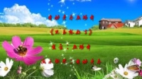 广场舞免费下载大全mp4《兄弟想你了》背面