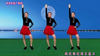 广场舞下载大全mp4免费下载《爱你爱到月亮