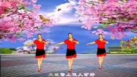夏荷广场舞《桃花运》节奏动感欢快看看就能