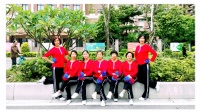 夏荷广场舞《中国美中国梦》优美步子舞简单