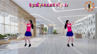 广场舞视频mp4免费下载《你是我的月亮》对