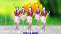 广场舞教学视频《野花香》DJ广场舞适合在家
