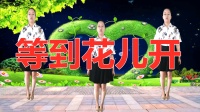 DJ广场舞视频大全《等到花儿开》跳广场舞视